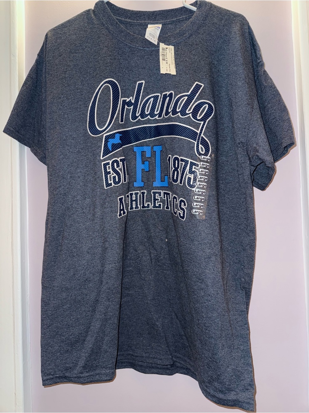 Orlando FL Athletics Men's T‑Shirt - Gray/Blue